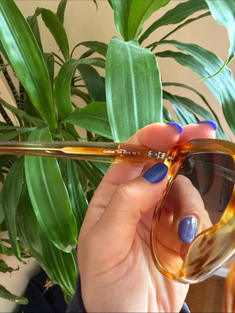 Celine Blonde Havana Full Rim Tortoiseshell Gradient Lens Women's Sunglasses